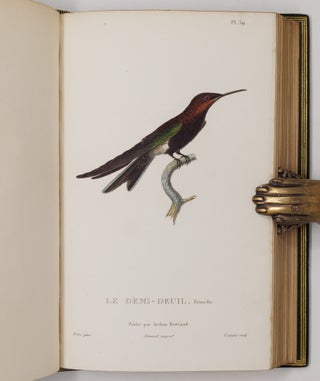 Histoire naturelle des oiseaux-mouches, ouvrage orné de planches dessinées et gravées par les meilleurs artistes, et dedié A S. A. R. Mademoiselle. . . WITH Histoire naturelle des colibris, suivie d'un supplément a l'histoire naturelle des oiseaux-mouches; ouvrage orné de planches dessinés et gravées par les meilleurs artistes, et dédié A M. le Baron Cuvier. Par R. P. Lesson. . . AND Les trochilidées ou les colibris et les oiseaux-mouches, suivis d'un index général, dans lequel sont décrits et classés méthodiquement toutes les races et espèces du genre Trochilus. Ouvrage orné de planches dessinées et gravées par les meilleurs artistes, par R. P. Lesson. . .