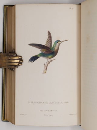 Histoire naturelle des oiseaux-mouches, ouvrage orn&eacute; de planches dessin&eacute;es et grav&eacute;es par les meilleurs artistes, et dedi&eacute; A S. A. R. Mademoiselle. . . WITH Histoire naturelle des colibris, suivie d'un suppl&eacute;ment a l'histoire naturelle des oiseaux-mouches; ouvrage orn&eacute; de planches dessin&eacute;s et grav&eacute;es par les meilleurs artistes, et d&eacute;di&eacute; A M. le Baron Cuvier. Par R. P. Lesson. . . AND Les trochilid&eacute;es ou les colibris et les oiseaux-mouches, suivis d'un index g&eacute;n&eacute;ral, dans lequel sont d&eacute;crits et class&eacute;s m&eacute;thodiquement toutes les races et esp&egrave;ces du genre Trochilus. Ouvrage orn&eacute; de planches dessin&eacute;es et grav&eacute;es par les meilleurs artistes, par R. P. Lesson. . .