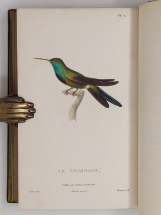Histoire naturelle des oiseaux-mouches, ouvrage orn&eacute; de planches dessin&eacute;es et grav&eacute;es par les meilleurs artistes, et dedi&eacute; A S. A. R. Mademoiselle. . . WITH Histoire naturelle des colibris, suivie d'un suppl&eacute;ment a l'histoire naturelle des oiseaux-mouches; ouvrage orn&eacute; de planches dessin&eacute;s et grav&eacute;es par les meilleurs artistes, et d&eacute;di&eacute; A M. le Baron Cuvier. Par R. P. Lesson. . . AND Les trochilid&eacute;es ou les colibris et les oiseaux-mouches, suivis d'un index g&eacute;n&eacute;ral, dans lequel sont d&eacute;crits et class&eacute;s m&eacute;thodiquement toutes les races et esp&egrave;ces du genre Trochilus. Ouvrage orn&eacute; de planches dessin&eacute;es et grav&eacute;es par les meilleurs artistes, par R. P. Lesson. . .