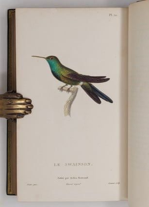 Histoire naturelle des oiseaux-mouches, ouvrage orné de planches dessinées et gravées par les meilleurs artistes, et dedié A S. A. R. Mademoiselle. . . WITH Histoire naturelle des colibris, suivie d'un supplément a l'histoire naturelle des oiseaux-mouches; ouvrage orné de planches dessinés et gravées par les meilleurs artistes, et dédié A M. le Baron Cuvier. Par R. P. Lesson. . . AND Les trochilidées ou les colibris et les oiseaux-mouches, suivis d'un index général, dans lequel sont décrits et classés méthodiquement toutes les races et espèces du genre Trochilus. Ouvrage orné de planches dessinées et gravées par les meilleurs artistes, par R. P. Lesson. . .