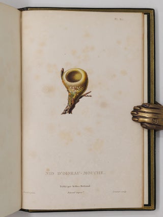 Histoire naturelle des oiseaux-mouches, ouvrage orn&eacute; de planches dessin&eacute;es et grav&eacute;es par les meilleurs artistes, et dedi&eacute; A S. A. R. Mademoiselle. . . WITH Histoire naturelle des colibris, suivie d'un suppl&eacute;ment a l'histoire naturelle des oiseaux-mouches; ouvrage orn&eacute; de planches dessin&eacute;s et grav&eacute;es par les meilleurs artistes, et d&eacute;di&eacute; A M. le Baron Cuvier. Par R. P. Lesson. . . AND Les trochilid&eacute;es ou les colibris et les oiseaux-mouches, suivis d'un index g&eacute;n&eacute;ral, dans lequel sont d&eacute;crits et class&eacute;s m&eacute;thodiquement toutes les races et esp&egrave;ces du genre Trochilus. Ouvrage orn&eacute; de planches dessin&eacute;es et grav&eacute;es par les meilleurs artistes, par R. P. Lesson. . .