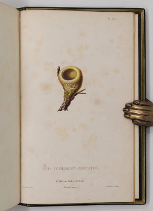 Histoire naturelle des oiseaux-mouches, ouvrage orné de planches dessinées et gravées par les meilleurs artistes, et dedié A S. A. R. Mademoiselle. . . WITH Histoire naturelle des colibris, suivie d'un supplément a l'histoire naturelle des oiseaux-mouches; ouvrage orné de planches dessinés et gravées par les meilleurs artistes, et dédié A M. le Baron Cuvier. Par R. P. Lesson. . . AND Les trochilidées ou les colibris et les oiseaux-mouches, suivis d'un index général, dans lequel sont décrits et classés méthodiquement toutes les races et espèces du genre Trochilus. Ouvrage orné de planches dessinées et gravées par les meilleurs artistes, par R. P. Lesson. . .