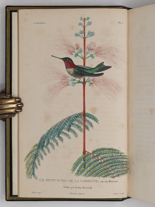 Histoire naturelle des oiseaux-mouches, ouvrage orn&eacute; de planches dessin&eacute;es et grav&eacute;es par les meilleurs artistes, et dedi&eacute; A S. A. R. Mademoiselle. . . WITH Histoire naturelle des colibris, suivie d'un suppl&eacute;ment a l'histoire naturelle des oiseaux-mouches; ouvrage orn&eacute; de planches dessin&eacute;s et grav&eacute;es par les meilleurs artistes, et d&eacute;di&eacute; A M. le Baron Cuvier. Par R. P. Lesson. . . AND Les trochilid&eacute;es ou les colibris et les oiseaux-mouches, suivis d'un index g&eacute;n&eacute;ral, dans lequel sont d&eacute;crits et class&eacute;s m&eacute;thodiquement toutes les races et esp&egrave;ces du genre Trochilus. Ouvrage orn&eacute; de planches dessin&eacute;es et grav&eacute;es par les meilleurs artistes, par R. P. Lesson. . .