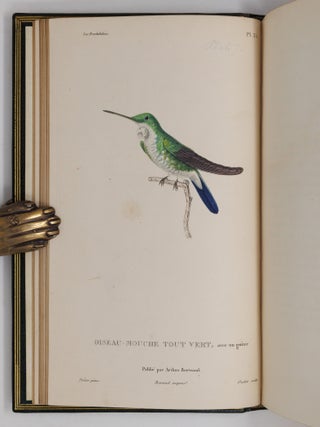 Histoire naturelle des oiseaux-mouches, ouvrage orn&eacute; de planches dessin&eacute;es et grav&eacute;es par les meilleurs artistes, et dedi&eacute; A S. A. R. Mademoiselle. . . WITH Histoire naturelle des colibris, suivie d'un suppl&eacute;ment a l'histoire naturelle des oiseaux-mouches; ouvrage orn&eacute; de planches dessin&eacute;s et grav&eacute;es par les meilleurs artistes, et d&eacute;di&eacute; A M. le Baron Cuvier. Par R. P. Lesson. . . AND Les trochilid&eacute;es ou les colibris et les oiseaux-mouches, suivis d'un index g&eacute;n&eacute;ral, dans lequel sont d&eacute;crits et class&eacute;s m&eacute;thodiquement toutes les races et esp&egrave;ces du genre Trochilus. Ouvrage orn&eacute; de planches dessin&eacute;es et grav&eacute;es par les meilleurs artistes, par R. P. Lesson. . .