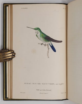 Histoire naturelle des oiseaux-mouches, ouvrage orné de planches dessinées et gravées par les meilleurs artistes, et dedié A S. A. R. Mademoiselle. . . WITH Histoire naturelle des colibris, suivie d'un supplément a l'histoire naturelle des oiseaux-mouches; ouvrage orné de planches dessinés et gravées par les meilleurs artistes, et dédié A M. le Baron Cuvier. Par R. P. Lesson. . . AND Les trochilidées ou les colibris et les oiseaux-mouches, suivis d'un index général, dans lequel sont décrits et classés méthodiquement toutes les races et espèces du genre Trochilus. Ouvrage orné de planches dessinées et gravées par les meilleurs artistes, par R. P. Lesson. . .