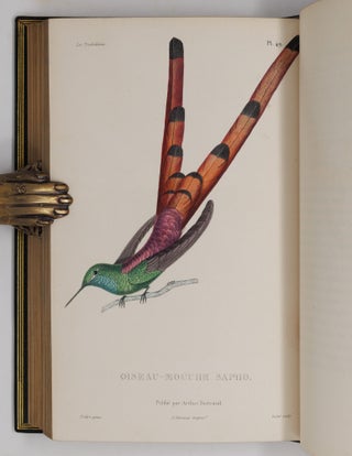 Histoire naturelle des oiseaux-mouches, ouvrage orné de planches dessinées et gravées par les meilleurs artistes, et dedié A S. A. R. Mademoiselle. . . WITH Histoire naturelle des colibris, suivie d'un supplément a l'histoire naturelle des oiseaux-mouches; ouvrage orné de planches dessinés et gravées par les meilleurs artistes, et dédié A M. le Baron Cuvier. Par R. P. Lesson. . . AND Les trochilidées ou les colibris et les oiseaux-mouches, suivis d'un index général, dans lequel sont décrits et classés méthodiquement toutes les races et espèces du genre Trochilus. Ouvrage orné de planches dessinées et gravées par les meilleurs artistes, par R. P. Lesson. . .