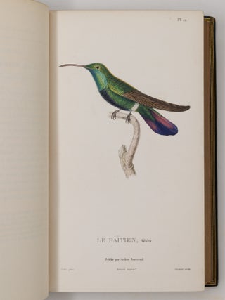 Histoire naturelle des oiseaux-mouches, ouvrage orn&eacute; de planches dessin&eacute;es et grav&eacute;es par les meilleurs artistes, et dedi&eacute; A S. A. R. Mademoiselle. . . WITH Histoire naturelle des colibris, suivie d'un suppl&eacute;ment a l'histoire naturelle des oiseaux-mouches; ouvrage orn&eacute; de planches dessin&eacute;s et grav&eacute;es par les meilleurs artistes, et d&eacute;di&eacute; A M. le Baron Cuvier. Par R. P. Lesson. . . AND Les trochilid&eacute;es ou les colibris et les oiseaux-mouches, suivis d'un index g&eacute;n&eacute;ral, dans lequel sont d&eacute;crits et class&eacute;s m&eacute;thodiquement toutes les races et esp&egrave;ces du genre Trochilus. Ouvrage orn&eacute; de planches dessin&eacute;es et grav&eacute;es par les meilleurs artistes, par R. P. Lesson. . .