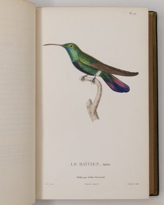 Histoire naturelle des oiseaux-mouches, ouvrage orné de planches dessinées et gravées par les meilleurs artistes, et dedié A S. A. R. Mademoiselle. . . WITH Histoire naturelle des colibris, suivie d'un supplément a l'histoire naturelle des oiseaux-mouches; ouvrage orné de planches dessinés et gravées par les meilleurs artistes, et dédié A M. le Baron Cuvier. Par R. P. Lesson. . . AND Les trochilidées ou les colibris et les oiseaux-mouches, suivis d'un index général, dans lequel sont décrits et classés méthodiquement toutes les races et espèces du genre Trochilus. Ouvrage orné de planches dessinées et gravées par les meilleurs artistes, par R. P. Lesson. . .