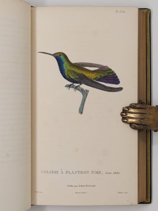 Histoire naturelle des oiseaux-mouches, ouvrage orn&eacute; de planches dessin&eacute;es et grav&eacute;es par les meilleurs artistes, et dedi&eacute; A S. A. R. Mademoiselle. . . WITH Histoire naturelle des colibris, suivie d'un suppl&eacute;ment a l'histoire naturelle des oiseaux-mouches; ouvrage orn&eacute; de planches dessin&eacute;s et grav&eacute;es par les meilleurs artistes, et d&eacute;di&eacute; A M. le Baron Cuvier. Par R. P. Lesson. . . AND Les trochilid&eacute;es ou les colibris et les oiseaux-mouches, suivis d'un index g&eacute;n&eacute;ral, dans lequel sont d&eacute;crits et class&eacute;s m&eacute;thodiquement toutes les races et esp&egrave;ces du genre Trochilus. Ouvrage orn&eacute; de planches dessin&eacute;es et grav&eacute;es par les meilleurs artistes, par R. P. Lesson. . .