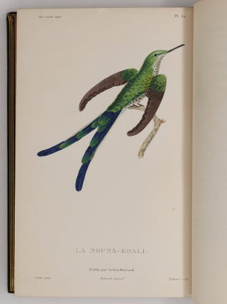 Histoire naturelle des oiseaux-mouches, ouvrage orn&eacute; de planches dessin&eacute;es et grav&eacute;es par les meilleurs artistes, et dedi&eacute; A S. A. R. Mademoiselle. . . WITH Histoire naturelle des colibris, suivie d'un suppl&eacute;ment a l'histoire naturelle des oiseaux-mouches; ouvrage orn&eacute; de planches dessin&eacute;s et grav&eacute;es par les meilleurs artistes, et d&eacute;di&eacute; A M. le Baron Cuvier. Par R. P. Lesson. . . AND Les trochilid&eacute;es ou les colibris et les oiseaux-mouches, suivis d'un index g&eacute;n&eacute;ral, dans lequel sont d&eacute;crits et class&eacute;s m&eacute;thodiquement toutes les races et esp&egrave;ces du genre Trochilus. Ouvrage orn&eacute; de planches dessin&eacute;es et grav&eacute;es par les meilleurs artistes, par R. P. Lesson. . .