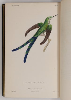 Histoire naturelle des oiseaux-mouches, ouvrage orné de planches dessinées et gravées par les meilleurs artistes, et dedié A S. A. R. Mademoiselle. . . WITH Histoire naturelle des colibris, suivie d'un supplément a l'histoire naturelle des oiseaux-mouches; ouvrage orné de planches dessinés et gravées par les meilleurs artistes, et dédié A M. le Baron Cuvier. Par R. P. Lesson. . . AND Les trochilidées ou les colibris et les oiseaux-mouches, suivis d'un index général, dans lequel sont décrits et classés méthodiquement toutes les races et espèces du genre Trochilus. Ouvrage orné de planches dessinées et gravées par les meilleurs artistes, par R. P. Lesson. . .
