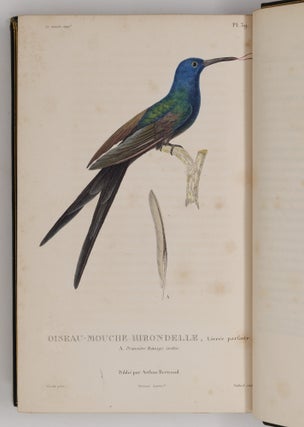 Histoire naturelle des oiseaux-mouches, ouvrage orné de planches dessinées et gravées par les meilleurs artistes, et dedié A S. A. R. Mademoiselle. . . WITH Histoire naturelle des colibris, suivie d'un supplément a l'histoire naturelle des oiseaux-mouches; ouvrage orné de planches dessinés et gravées par les meilleurs artistes, et dédié A M. le Baron Cuvier. Par R. P. Lesson. . . AND Les trochilidées ou les colibris et les oiseaux-mouches, suivis d'un index général, dans lequel sont décrits et classés méthodiquement toutes les races et espèces du genre Trochilus. Ouvrage orné de planches dessinées et gravées par les meilleurs artistes, par R. P. Lesson. . .