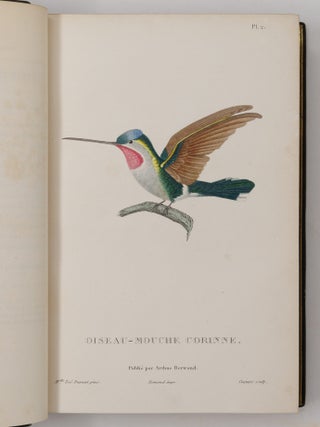 Histoire naturelle des oiseaux-mouches, ouvrage orn&eacute; de planches dessin&eacute;es et grav&eacute;es par les meilleurs artistes, et dedi&eacute; A S. A. R. Mademoiselle. . . WITH Histoire naturelle des colibris, suivie d'un suppl&eacute;ment a l'histoire naturelle des oiseaux-mouches; ouvrage orn&eacute; de planches dessin&eacute;s et grav&eacute;es par les meilleurs artistes, et d&eacute;di&eacute; A M. le Baron Cuvier. Par R. P. Lesson. . . AND Les trochilid&eacute;es ou les colibris et les oiseaux-mouches, suivis d'un index g&eacute;n&eacute;ral, dans lequel sont d&eacute;crits et class&eacute;s m&eacute;thodiquement toutes les races et esp&egrave;ces du genre Trochilus. Ouvrage orn&eacute; de planches dessin&eacute;es et grav&eacute;es par les meilleurs artistes, par R. P. Lesson. . .