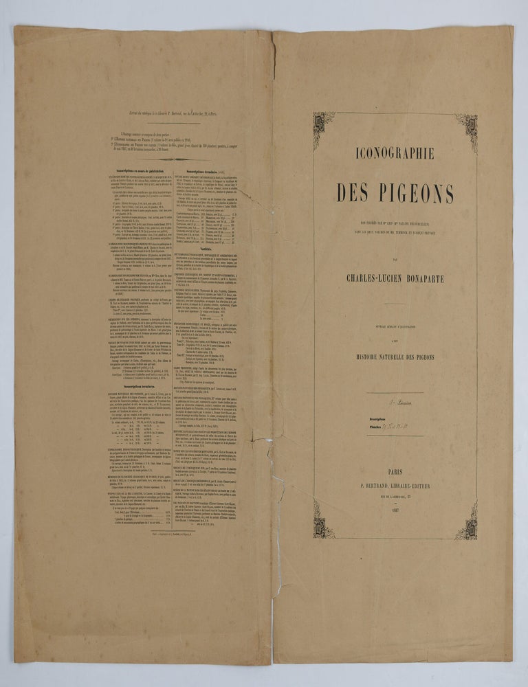 Item #JLR0862 Iconographie des pigeons non figur&eacute;s par Mme Knip (Mme Pauline Decourcelles) dans les deux volumes de MM. Temminck et Florent Pr&eacute;vost. Charles-Lucien Bonaparte.