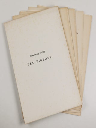 Iconographie des pigeons non figur&eacute;s par Mme Knip (Mme Pauline Decourcelles) dans les deux volumes de MM. Temminck et Florent Pr&eacute;vost