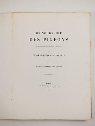 Iconographie des pigeons non figur&eacute;s par Mme Knip (Mme Pauline Decourcelles) dans les deux volumes de MM. Temminck et Florent Pr&eacute;vost