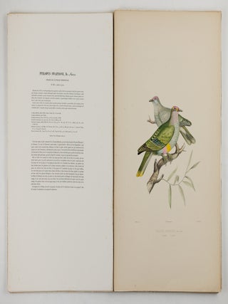 Iconographie des pigeons non figur&eacute;s par Mme Knip (Mme Pauline Decourcelles) dans les deux volumes de MM. Temminck et Florent Pr&eacute;vost