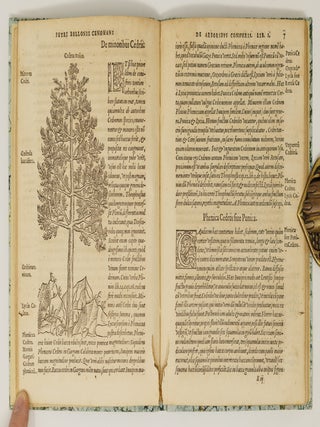 P. Bellonii Cenomani de arboribus coniferis, resiniferis, aliis quoque nonnullis sempiterna fronde virentibus, cum earundem iconibus ad viuum expressis. Item de melle cedrino, Cedria, Agarico, Resinis, & iis qu&aelig; ex coniferis proficiscuntur. Ad illustrissimum dominum Franciscum Oliuarium, Franci&aelig; Cancellarium, virum amplissimum