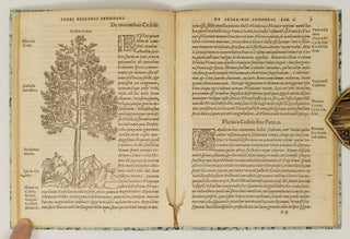 P. Bellonii Cenomani de arboribus coniferis, resiniferis, aliis quoque nonnullis sempiterna fronde virentibus, cum earundem iconibus ad viuum expressis. Item de melle cedrino, Cedria, Agarico, Resinis, & iis quæ ex coniferis proficiscuntur. Ad illustrissimum dominum Franciscum Oliuarium, Franciæ Cancellarium, virum amplissimum