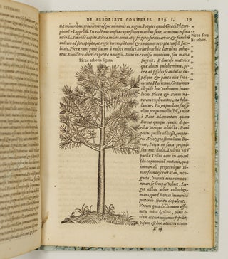 P. Bellonii Cenomani de arboribus coniferis, resiniferis, aliis quoque nonnullis sempiterna fronde virentibus, cum earundem iconibus ad viuum expressis. Item de melle cedrino, Cedria, Agarico, Resinis, & iis quæ ex coniferis proficiscuntur. Ad illustrissimum dominum Franciscum Oliuarium, Franciæ Cancellarium, virum amplissimum