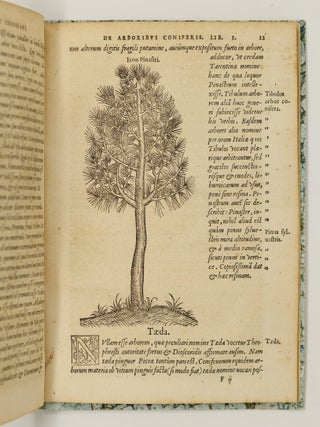 P. Bellonii Cenomani de arboribus coniferis, resiniferis, aliis quoque nonnullis sempiterna fronde virentibus, cum earundem iconibus ad viuum expressis. Item de melle cedrino, Cedria, Agarico, Resinis, & iis qu&aelig; ex coniferis proficiscuntur. Ad illustrissimum dominum Franciscum Oliuarium, Franci&aelig; Cancellarium, virum amplissimum