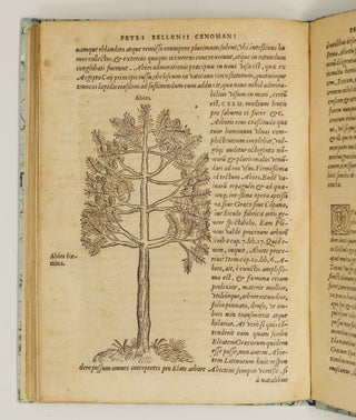 P. Bellonii Cenomani de arboribus coniferis, resiniferis, aliis quoque nonnullis sempiterna fronde virentibus, cum earundem iconibus ad viuum expressis. Item de melle cedrino, Cedria, Agarico, Resinis, & iis quæ ex coniferis proficiscuntur. Ad illustrissimum dominum Franciscum Oliuarium, Franciæ Cancellarium, virum amplissimum