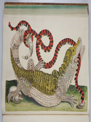 Mari&aelig; Sibill&aelig; Merian dissertatio de generatione et metamorphosibus insectorum surinamensium. . . Dissertation sur la generation et les transformations des insectes de Surinam. . . BOUND WITH Histoire des insectes de l&rsquo;Europe, Dessin&eacute;e d&rsquo;apr&egrave;s nature & expliqu&eacute;e par Marie Sibille Merian. . .