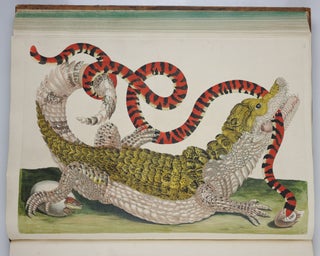 Mariæ Sibillæ Merian dissertatio de generatione et metamorphosibus insectorum surinamensium. . . Dissertation sur la generation et les transformations des insectes de Surinam. . . BOUND WITH Histoire des insectes de l’Europe, Dessinée d’après nature & expliquée par Marie Sibille Merian. . .