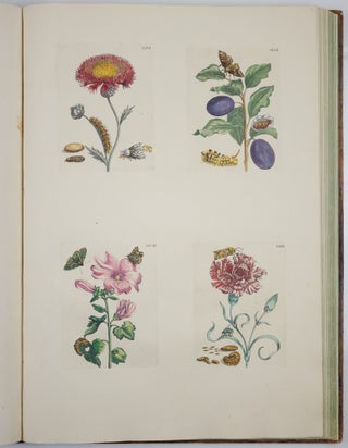 Mariæ Sibillæ Merian dissertatio de generatione et metamorphosibus insectorum surinamensium. . . Dissertation sur la generation et les transformations des insectes de Surinam. . . BOUND WITH Histoire des insectes de l’Europe, Dessinée d’après nature & expliquée par Marie Sibille Merian. . .