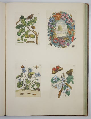 Mariæ Sibillæ Merian dissertatio de generatione et metamorphosibus insectorum surinamensium. . . Dissertation sur la generation et les transformations des insectes de Surinam. . . BOUND WITH Histoire des insectes de l’Europe, Dessinée d’après nature & expliquée par Marie Sibille Merian. . .