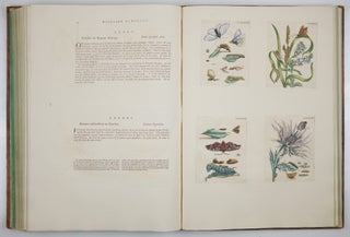Mariæ Sibillæ Merian dissertatio de generatione et metamorphosibus insectorum surinamensium. . . Dissertation sur la generation et les transformations des insectes de Surinam. . . BOUND WITH Histoire des insectes de l’Europe, Dessinée d’après nature & expliquée par Marie Sibille Merian. . .
