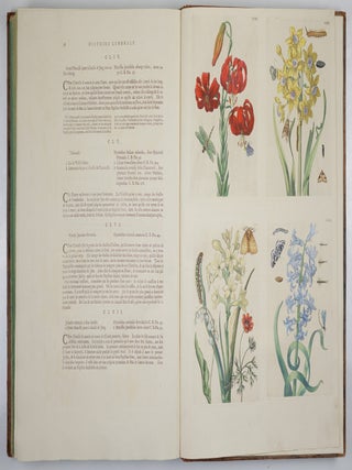Mari&aelig; Sibill&aelig; Merian dissertatio de generatione et metamorphosibus insectorum surinamensium. . . Dissertation sur la generation et les transformations des insectes de Surinam. . . BOUND WITH Histoire des insectes de l&rsquo;Europe, Dessin&eacute;e d&rsquo;apr&egrave;s nature & expliqu&eacute;e par Marie Sibille Merian. . .