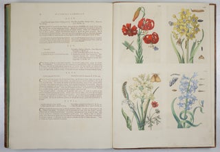 Mariæ Sibillæ Merian dissertatio de generatione et metamorphosibus insectorum surinamensium. . . Dissertation sur la generation et les transformations des insectes de Surinam. . . BOUND WITH Histoire des insectes de l’Europe, Dessinée d’après nature & expliquée par Marie Sibille Merian. . .