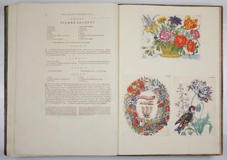 Mariæ Sibillæ Merian dissertatio de generatione et metamorphosibus insectorum surinamensium. . . Dissertation sur la generation et les transformations des insectes de Surinam. . . BOUND WITH Histoire des insectes de l’Europe, Dessinée d’après nature & expliquée par Marie Sibille Merian. . .