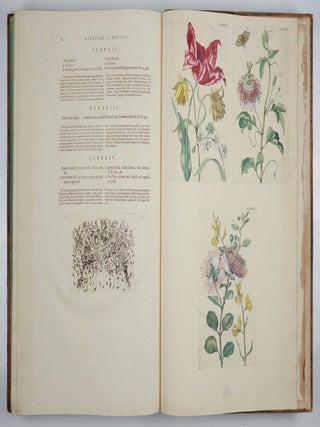 Mari&aelig; Sibill&aelig; Merian dissertatio de generatione et metamorphosibus insectorum surinamensium. . . Dissertation sur la generation et les transformations des insectes de Surinam. . . BOUND WITH Histoire des insectes de l&rsquo;Europe, Dessin&eacute;e d&rsquo;apr&egrave;s nature & expliqu&eacute;e par Marie Sibille Merian. . .