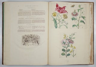 Mariæ Sibillæ Merian dissertatio de generatione et metamorphosibus insectorum surinamensium. . . Dissertation sur la generation et les transformations des insectes de Surinam. . . BOUND WITH Histoire des insectes de l’Europe, Dessinée d’après nature & expliquée par Marie Sibille Merian. . .