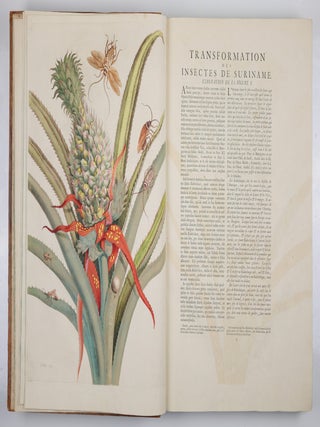 Mari&aelig; Sibill&aelig; Merian dissertatio de generatione et metamorphosibus insectorum surinamensium. . . Dissertation sur la generation et les transformations des insectes de Surinam. . . BOUND WITH Histoire des insectes de l&rsquo;Europe, Dessin&eacute;e d&rsquo;apr&egrave;s nature & expliqu&eacute;e par Marie Sibille Merian. . .