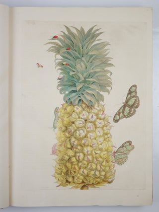 Mari&aelig; Sibill&aelig; Merian dissertatio de generatione et metamorphosibus insectorum surinamensium. . . Dissertation sur la generation et les transformations des insectes de Surinam. . . BOUND WITH Histoire des insectes de l&rsquo;Europe, Dessin&eacute;e d&rsquo;apr&egrave;s nature & expliqu&eacute;e par Marie Sibille Merian. . .