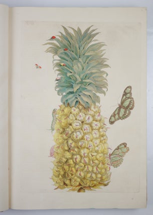Mariæ Sibillæ Merian dissertatio de generatione et metamorphosibus insectorum surinamensium. . . Dissertation sur la generation et les transformations des insectes de Surinam. . . BOUND WITH Histoire des insectes de l’Europe, Dessinée d’après nature & expliquée par Marie Sibille Merian. . .