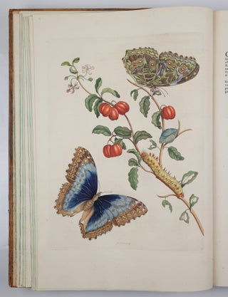 Mariæ Sibillæ Merian dissertatio de generatione et metamorphosibus insectorum surinamensium. . . Dissertation sur la generation et les transformations des insectes de Surinam. . . BOUND WITH Histoire des insectes de l’Europe, Dessinée d’après nature & expliquée par Marie Sibille Merian. . .