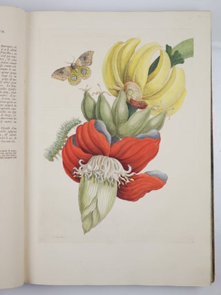 Mari&aelig; Sibill&aelig; Merian dissertatio de generatione et metamorphosibus insectorum surinamensium. . . Dissertation sur la generation et les transformations des insectes de Surinam. . . BOUND WITH Histoire des insectes de l&rsquo;Europe, Dessin&eacute;e d&rsquo;apr&egrave;s nature & expliqu&eacute;e par Marie Sibille Merian. . .