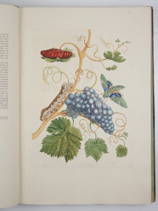 Mari&aelig; Sibill&aelig; Merian dissertatio de generatione et metamorphosibus insectorum surinamensium. . . Dissertation sur la generation et les transformations des insectes de Surinam. . . BOUND WITH Histoire des insectes de l&rsquo;Europe, Dessin&eacute;e d&rsquo;apr&egrave;s nature & expliqu&eacute;e par Marie Sibille Merian. . .