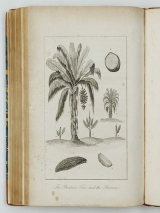 Narrative, of a five years' expedition, against the Revolted Negroes of Surinam, in Guiana, on the wild coast of South America; from the year 1772, to 1777: elucidating the History of that Country, and describing its Productions, Viz. Quadrupedes, Birds, Fishes, Reptiles, Trees, Shrubs, Fruits, & Roots; with an account of the Indians of Guiana, & negroes of Guinea. By Capt.n J. G. Stedman, illustrated with 80 elegant Engravings, from drawings made by the Author. Vol. I [-II] Second edition corrected.