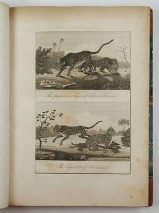 Narrative, of a five years' expedition, against the Revolted Negroes of Surinam, in Guiana, on the wild coast of South America; from the year 1772, to 1777: elucidating the History of that Country, and describing its Productions, Viz. Quadrupedes, Birds, Fishes, Reptiles, Trees, Shrubs, Fruits, & Roots; with an account of the Indians of Guiana, & negroes of Guinea. By Capt.n J. G. Stedman, illustrated with 80 elegant Engravings, from drawings made by the Author. Vol. I [-II] Second edition corrected.