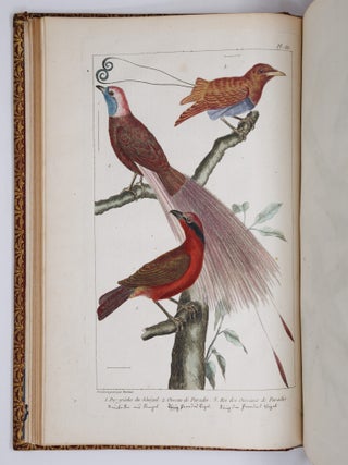 L'histoire naturelle, &eacute;claircie dans une des ses parties principales, l'ornithologie, qui traite des oiseaux de terre, de mer et de riviere, tant de nos climats que des pays &eacute;trangers. Ouvrage traduit du Latin du Synopsis avium de Ray, augment&eacute; d'un grand nombre de descriptions & de remarques historiques sur le caractere des Oiseaux, leur industrie & leurs ruses. Par M. Salerne, Docteur en M&eacute;decine &agrave; Orl&eacute;ans, Correspondant de l'Acad&eacute;mie Royale des Sciences. Enrichi de trente-une Figures dessin&eacute;es d'apr&egrave;s nature
