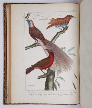 L'histoire naturelle, éclaircie dans une des ses parties principales, l'ornithologie, qui traite des oiseaux de terre, de mer et de riviere, tant de nos climats que des pays étrangers. Ouvrage traduit du Latin du Synopsis avium de Ray, augmenté d'un grand nombre de descriptions & de remarques historiques sur le caractere des Oiseaux, leur industrie & leurs ruses. Par M. Salerne, Docteur en Médecine à Orléans, Correspondant de l'Académie Royale des Sciences. Enrichi de trente-une Figures dessinées d'après nature