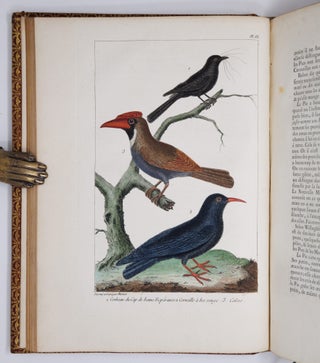 L'histoire naturelle, éclaircie dans une des ses parties principales, l'ornithologie, qui traite des oiseaux de terre, de mer et de riviere, tant de nos climats que des pays étrangers. Ouvrage traduit du Latin du Synopsis avium de Ray, augmenté d'un grand nombre de descriptions & de remarques historiques sur le caractere des Oiseaux, leur industrie & leurs ruses. Par M. Salerne, Docteur en Médecine à Orléans, Correspondant de l'Académie Royale des Sciences. Enrichi de trente-une Figures dessinées d'après nature