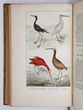 L'histoire naturelle, &eacute;claircie dans une des ses parties principales, l'ornithologie, qui traite des oiseaux de terre, de mer et de riviere, tant de nos climats que des pays &eacute;trangers. Ouvrage traduit du Latin du Synopsis avium de Ray, augment&eacute; d'un grand nombre de descriptions & de remarques historiques sur le caractere des Oiseaux, leur industrie & leurs ruses. Par M. Salerne, Docteur en M&eacute;decine &agrave; Orl&eacute;ans, Correspondant de l'Acad&eacute;mie Royale des Sciences. Enrichi de trente-une Figures dessin&eacute;es d'apr&egrave;s nature