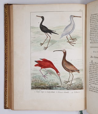 L'histoire naturelle, éclaircie dans une des ses parties principales, l'ornithologie, qui traite des oiseaux de terre, de mer et de riviere, tant de nos climats que des pays étrangers. Ouvrage traduit du Latin du Synopsis avium de Ray, augmenté d'un grand nombre de descriptions & de remarques historiques sur le caractere des Oiseaux, leur industrie & leurs ruses. Par M. Salerne, Docteur en Médecine à Orléans, Correspondant de l'Académie Royale des Sciences. Enrichi de trente-une Figures dessinées d'après nature