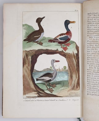 L'histoire naturelle, éclaircie dans une des ses parties principales, l'ornithologie, qui traite des oiseaux de terre, de mer et de riviere, tant de nos climats que des pays étrangers. Ouvrage traduit du Latin du Synopsis avium de Ray, augmenté d'un grand nombre de descriptions & de remarques historiques sur le caractere des Oiseaux, leur industrie & leurs ruses. Par M. Salerne, Docteur en Médecine à Orléans, Correspondant de l'Académie Royale des Sciences. Enrichi de trente-une Figures dessinées d'après nature